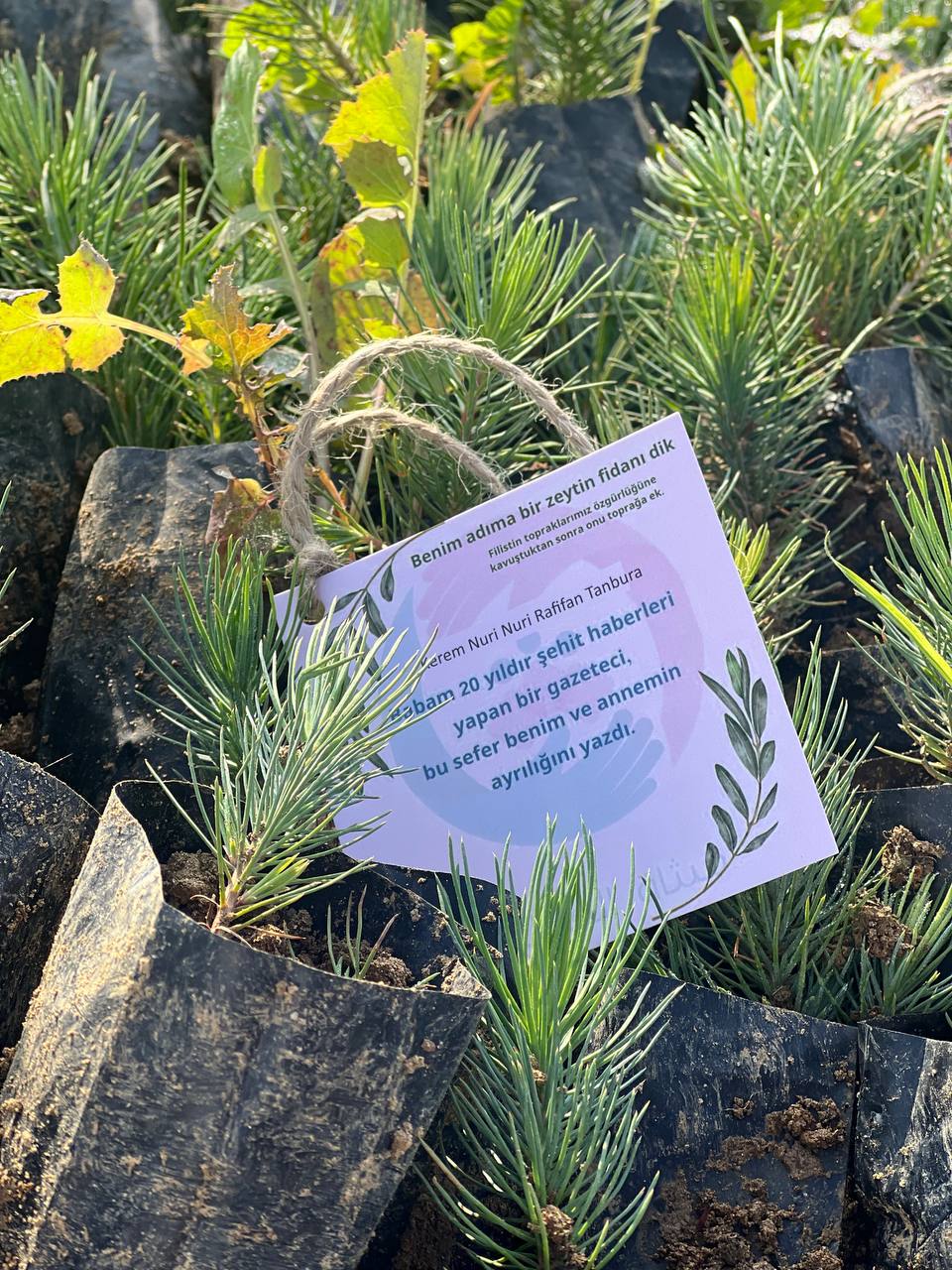 اغرس باسمي شجرة.. تخليد اسم طفل شهيد ودعم لطفل ناجٍ